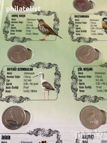 Турция 2020 – Комплектен сет от 12 монети по 1 куруш - Фауна – Птици , PROOF, снимка 6 - Нумизматика и бонистика - 52002985