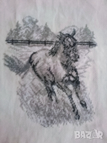 Гоблен  Галоп