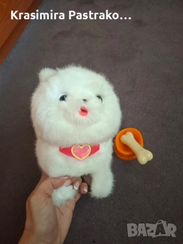 Интерактивно куче померан