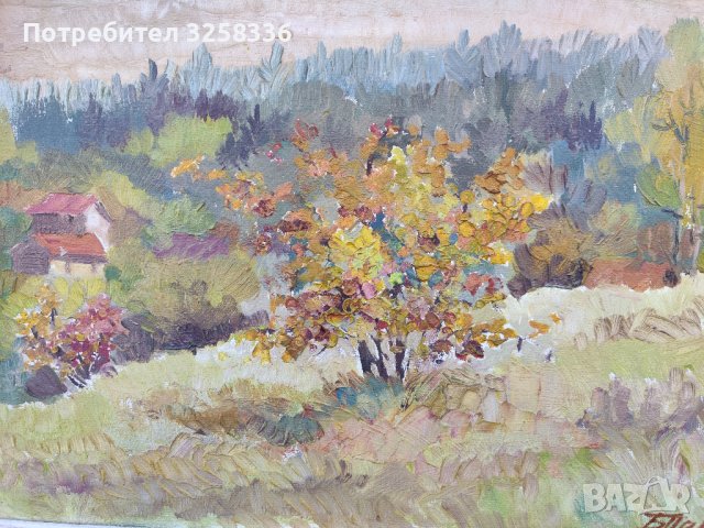 Красота, снимка 3 - Картини - 38713549