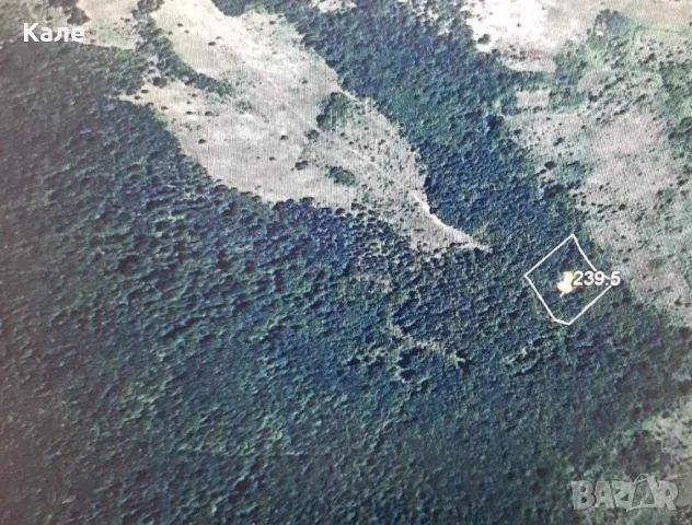 Широколистни гори 15.5 дка с. Винище, община Монтана, снимка 7 - Земеделска земя - 48391879