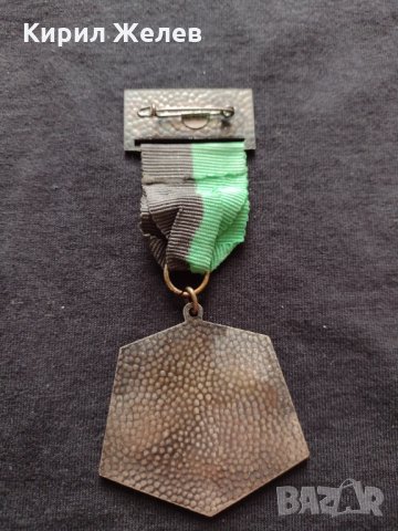 Рядък медал Германия OBERSCHLESIEN 1973 година за колекция - 25927, снимка 6 - Антикварни и старинни предмети - 34597620