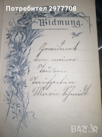 Евангелска-лутеранска библия 1895, снимка 8 - Антикварни и старинни предмети - 36068010