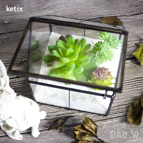 Мини терариум за сукуленти, снимка 3 - Други стоки за дома - 53665525