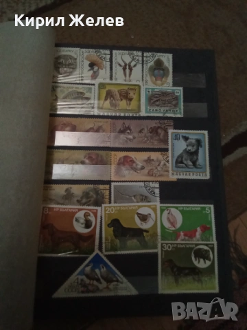 Албум с пощенски марки 54090, снимка 15 - Филателия - 53750570