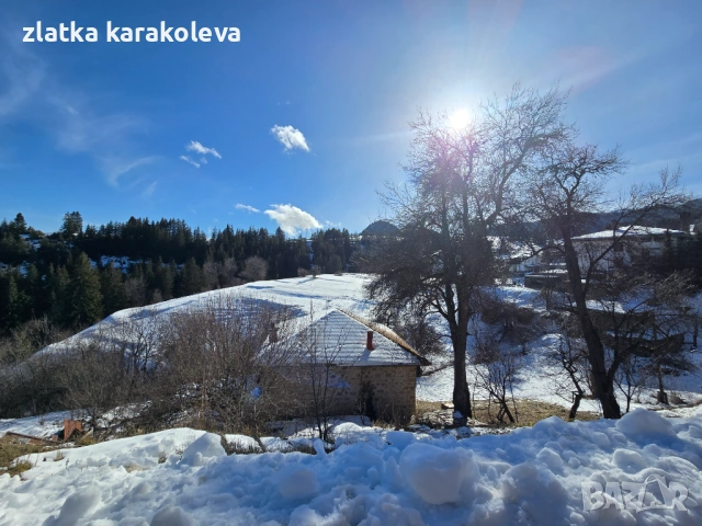 Продава се къща с имот в с. Гела, снимка 10 - Къщи - 53756750