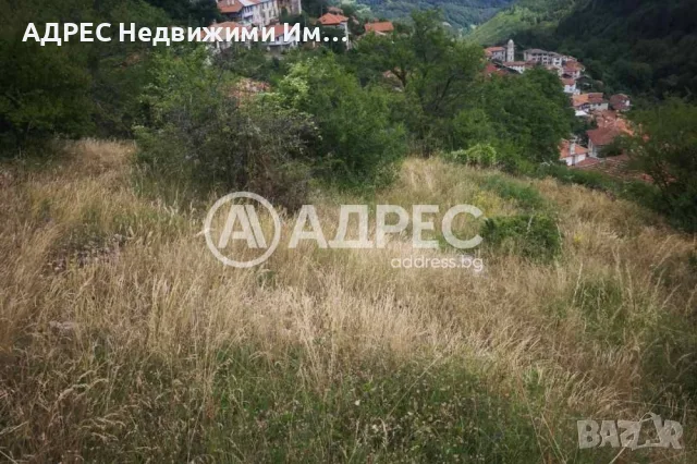 Парцел/Терен, продажба, Левочево, снимка 3 - Парцели - 55802880