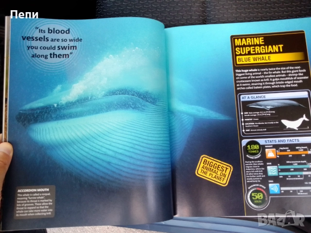 Супер Животните.Твърда корица, снимка 7 - Енциклопедии, справочници - 51723449