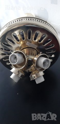 Полилеи, снимка 4 - Полилеи - 39462791