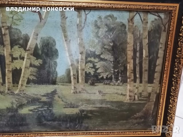 Стара руска маслена картина Брезова гора от 1950 г, масло на платно, живопис, снимка 4 - Картини - 35851522