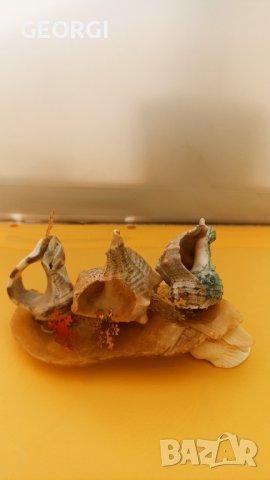 Фантазии, ръчна изработка с морски раковини, снимка 7 - Ръчно изработени сувенири - 42314530