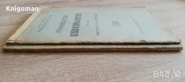 Ръководство по всеобща история на изкуствата, част 5 и 7, Антон Митов, 1926, снимка 9 - Изкуство, музика, кино и фотография - 56124138
