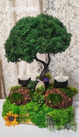 Бонсай и метален свещник с вечни жив скандинавски мъх 