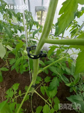 Щипки за домати и краставици 23 см., снимка 3 - Градински инструменти - 49802007