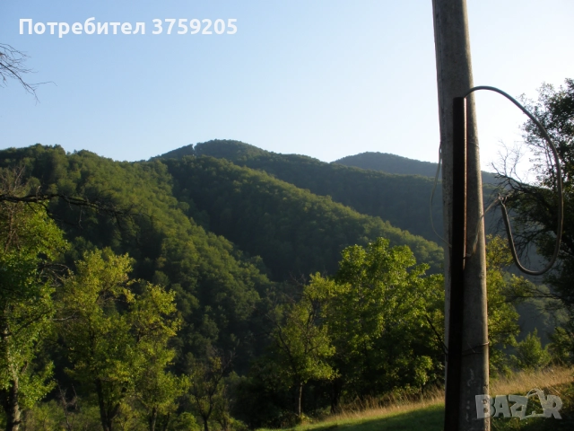 Продавам парцел в с.Рибариба, снимка 8 - Парцели - 52266031