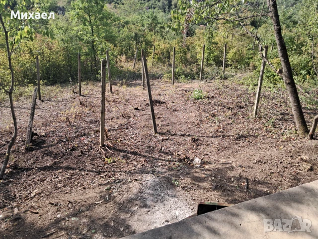 Намалена цена!, снимка 8 - Вили - 50933030