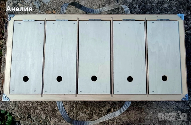 Преноска за гълъби за изложби, снимка 3 - Гълъби - 52112909