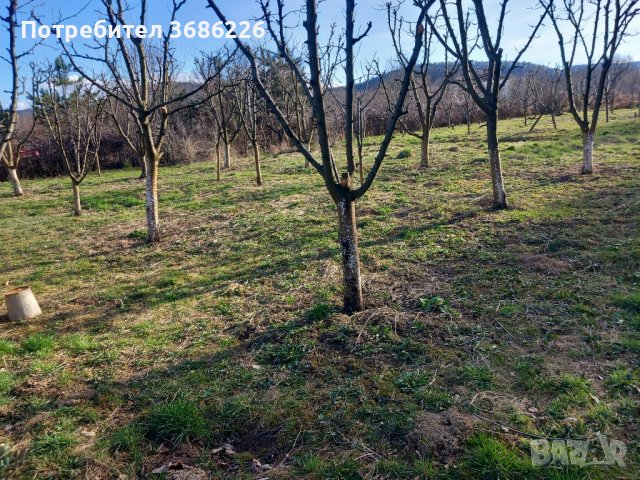 косене и почистване 