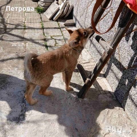 Подарък , снимка 3 - Други - 53848769