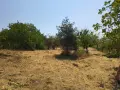 Панорамен РАВЕН парцел в Регулация, 1200 кв.м в с. о."МЕНТЕШЕ" , снимка 4