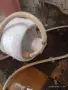 Продавам радиатор на вода и ток, снимка 4