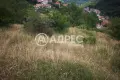 Парцел/Терен, продажба, Левочево, снимка 3