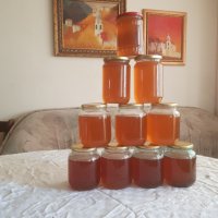 Пчелен мед - 2023 г., снимка 5 - Пчелни продукти - 41482951