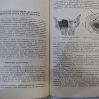 Книга "Гинекология - Илия Щъркалев" - 296 стр., снимка 6 - Учебници, учебни тетрадки - 44312238