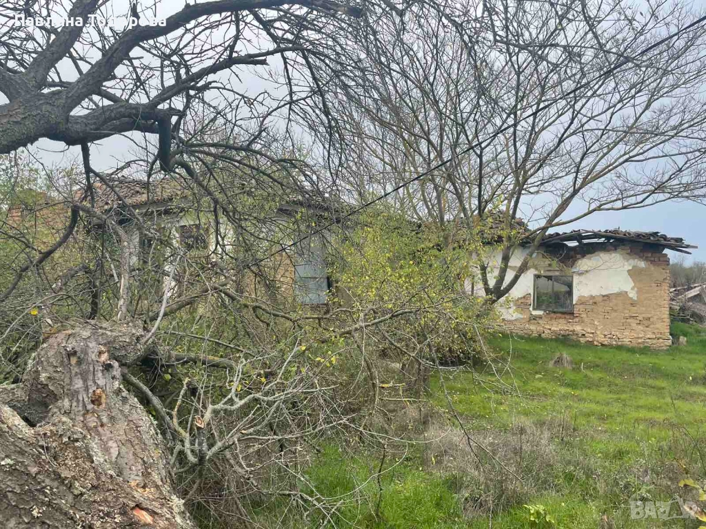 "ПРЕСТИЖ-П"ЕООД ПРОДАВА ПАРЦЕЛ СЪС СТАРА КЪЩА В СЕЛО ЦАРЕВЕЦ, снимка 1