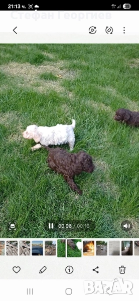 лагото , снимка 1