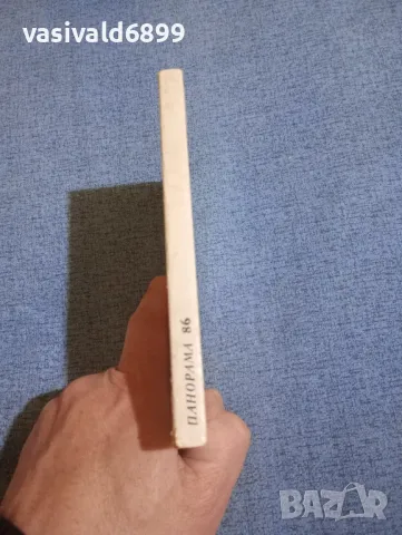 Виктор Притчет - Сляпа любов , снимка 2 - Художествена литература - 50051994