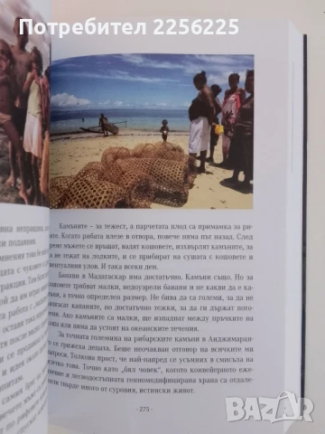 Истории от ръчния багаж, снимка 5 - Художествена литература - 51205943