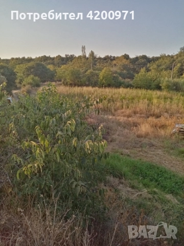 продава парцел Сандански, снимка 2 - Парцели - 52192877