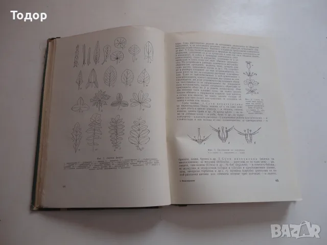 Книга Фитотерапия Лечение с Билки Йорданов 1966, снимка 7 - Специализирана литература - 56241353