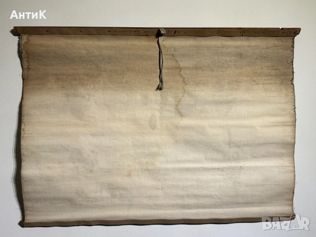 Соц Учебни Плакати Постери Ботаника, снимка 10 - Антикварни и старинни предмети - 52580865