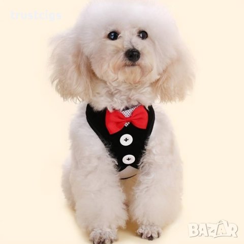 Нагръдник с каишка за домашен любимец S, снимка 5 - За кучета - 44483722