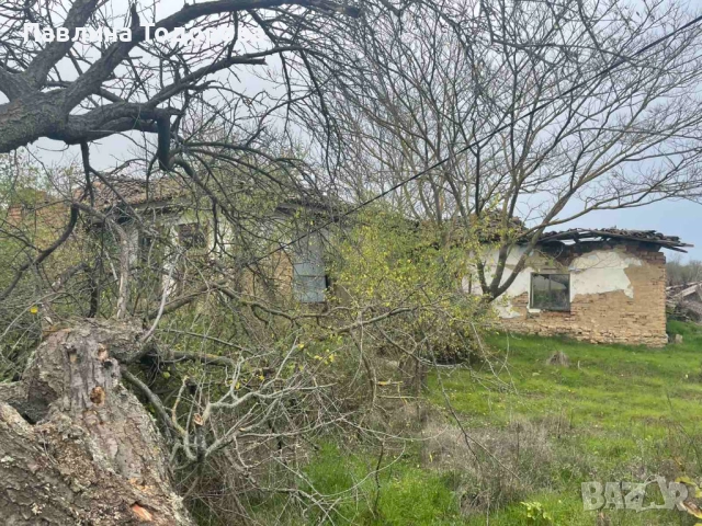 "ПРЕСТИЖ-П"ЕООД ПРОДАВА ПАРЦЕЛ СЪС СТАРА КЪЩА В СЕЛО ЦАРЕВЕЦ