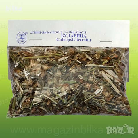 Билка Бударица