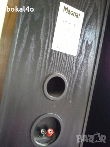 Magnat Art 145 100, снимка 2 - Тонколони - 53871027