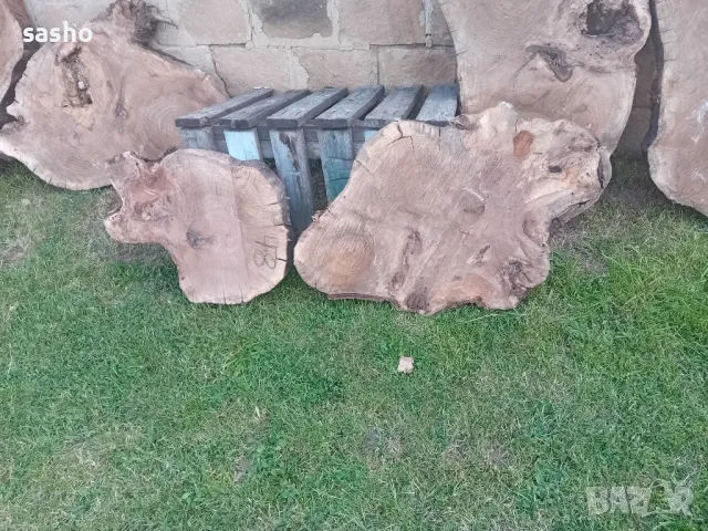 шайби от изсъхнал орех , снимка 3 - Декорация за дома - 50315436