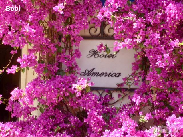 Sony Cyber-shot DSC-W80 , снимка 13 - Фотоапарати - 53864552