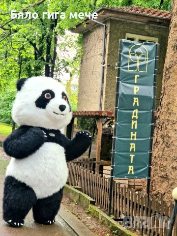 Панда , panda варна парти аниматор , снимка 7 - Детегледачки, детски центрове - 55746061