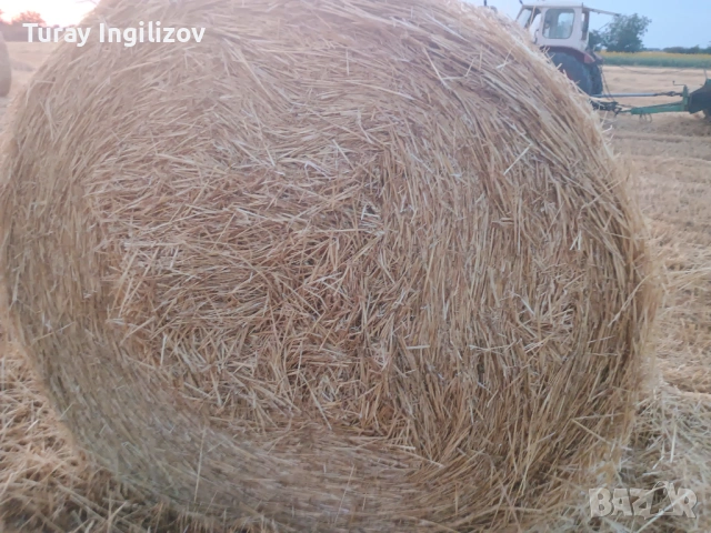 Слама размер на бала 120×150