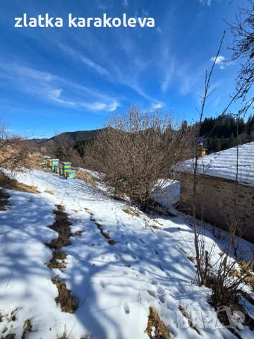 Продава се къща с имот в с. Гела, снимка 8 - Къщи - 53756750