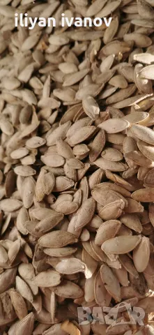 Тиквено семе тиквени семки, снимка 2 - Прасета - 48076932