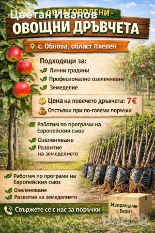 Овощни облагородени дръвчета на достъпни цени!