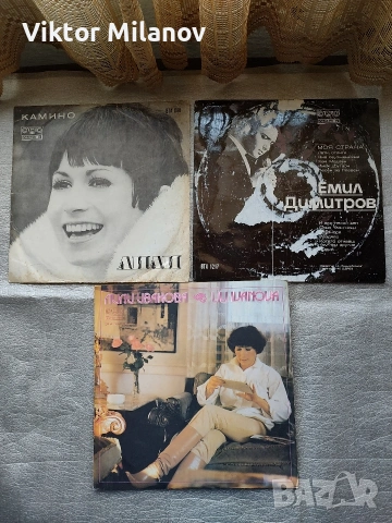 Грамофонни плочи, снимка 6 - Грамофонни плочи - 53018068