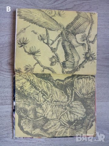 Изчезналият свят - Йозеф Аугуста, снимка 6 - Други - 40982004