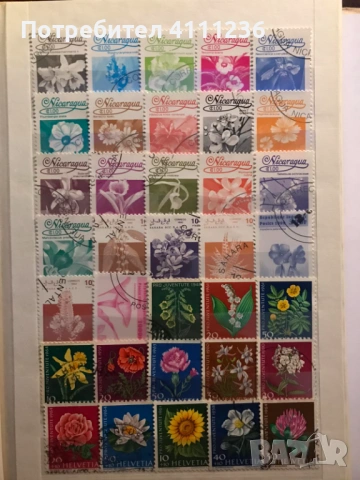 Класьор с марки на тема "Цветя", снимка 4 - Филателия - 53611717