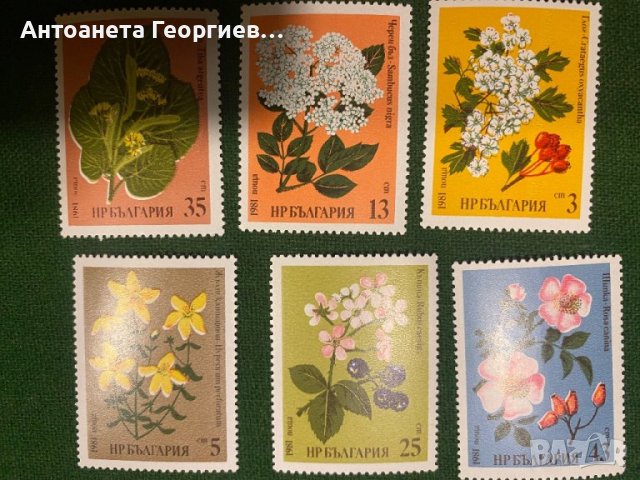 Пощенски марки - Цветя - България, снимка 2 - Филателия - 44423223